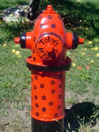 Dog Paws - Cornell and Harrison (2)